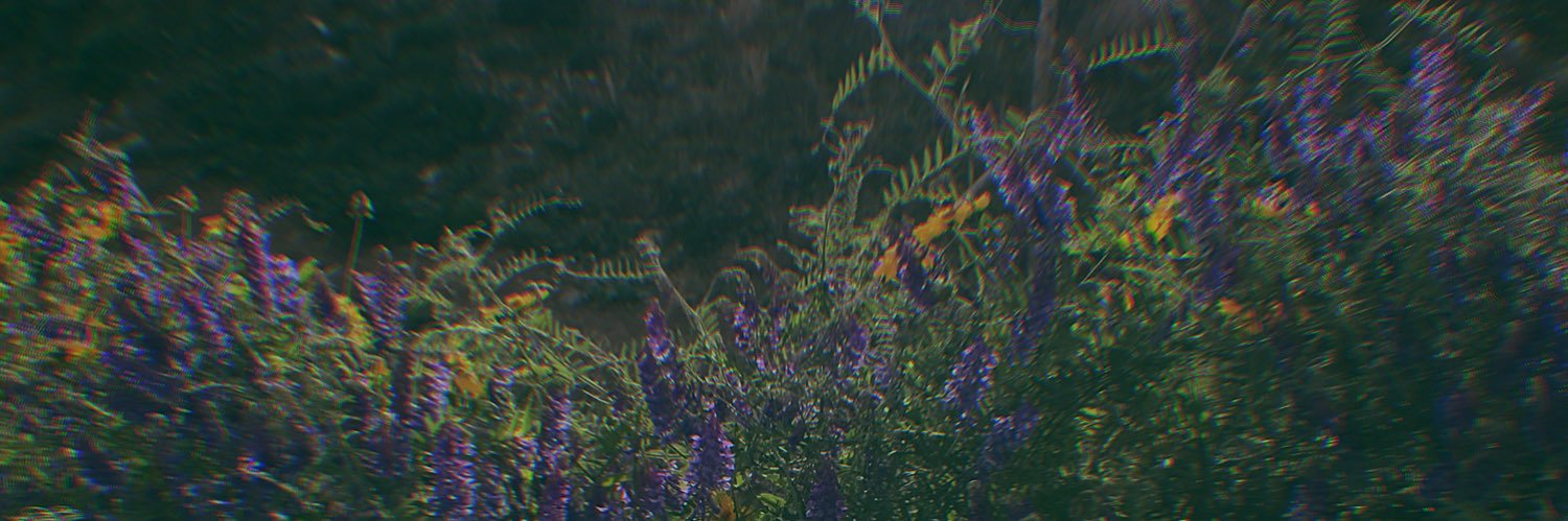 Traveler0531's profile banner image