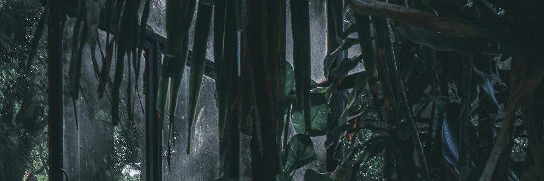 ari_flo122's profile banner image