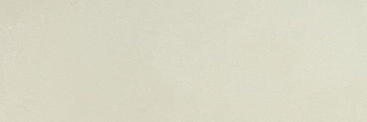 Willy || Skripshit Era banner