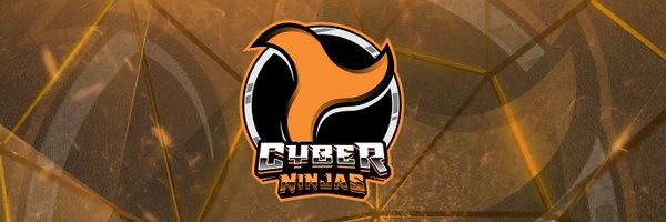 Cyber Ninjas Profile Banner