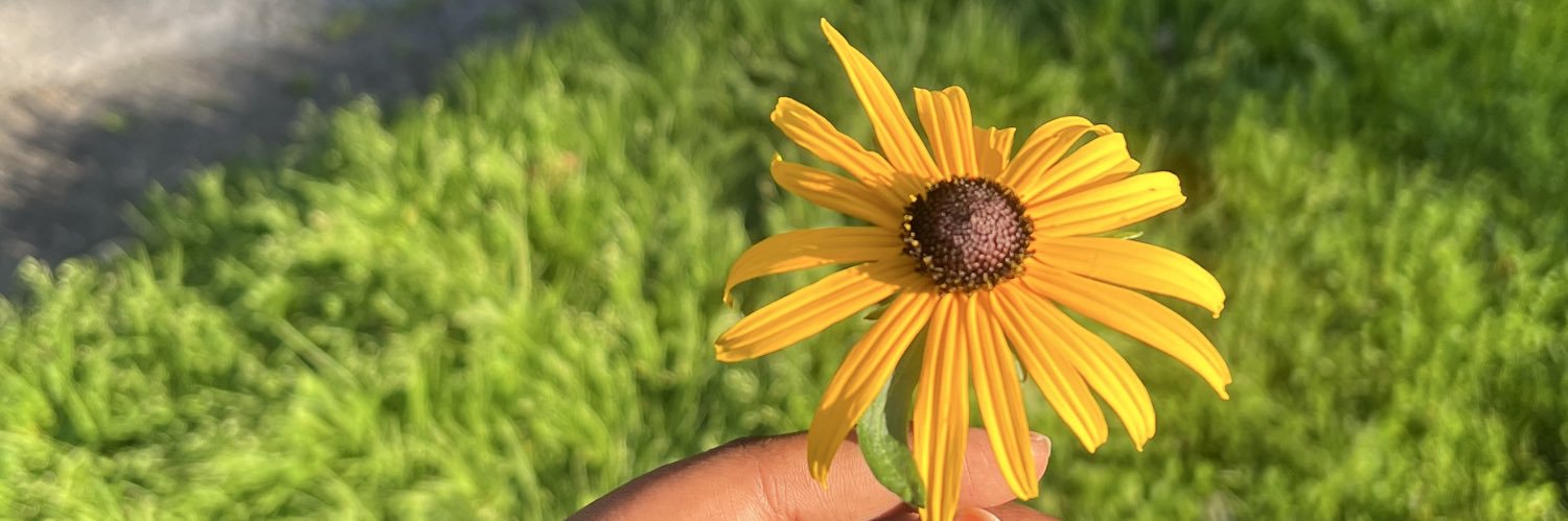 itshawaaaa's profile banner image