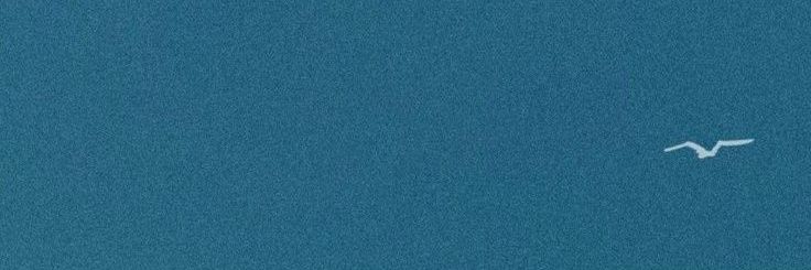 floweronmoon_'s profile banner image