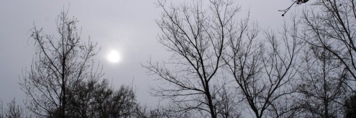X banner