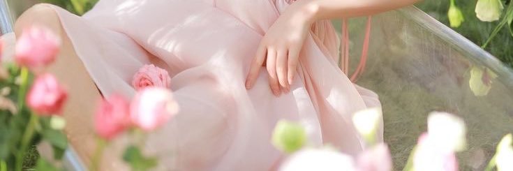 Elena banner