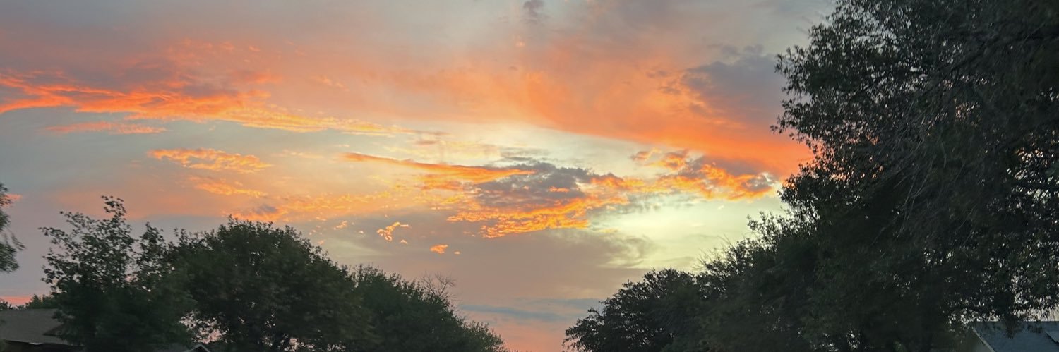 LeeMrtn's profile banner image