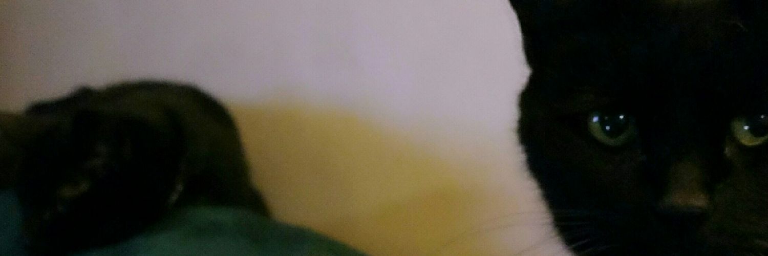 StephWell's profile banner image