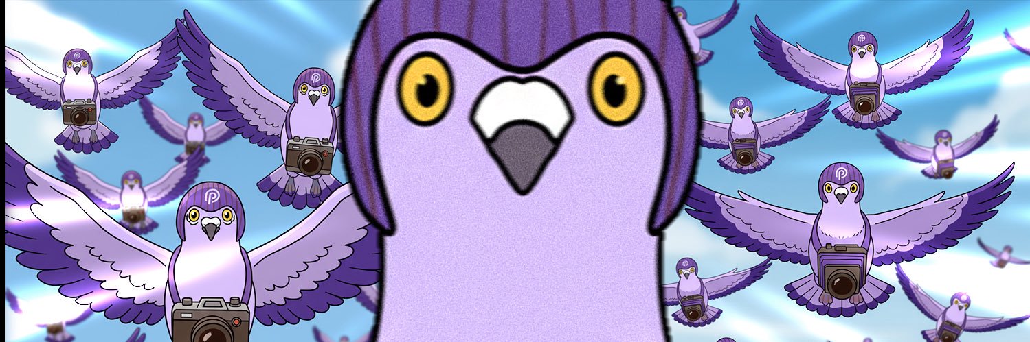 pap0nt.pyth🔮 banner