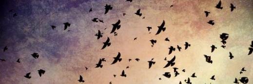 amo_cw7's profile banner image