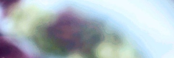 cardinalpopeni Profile Banner