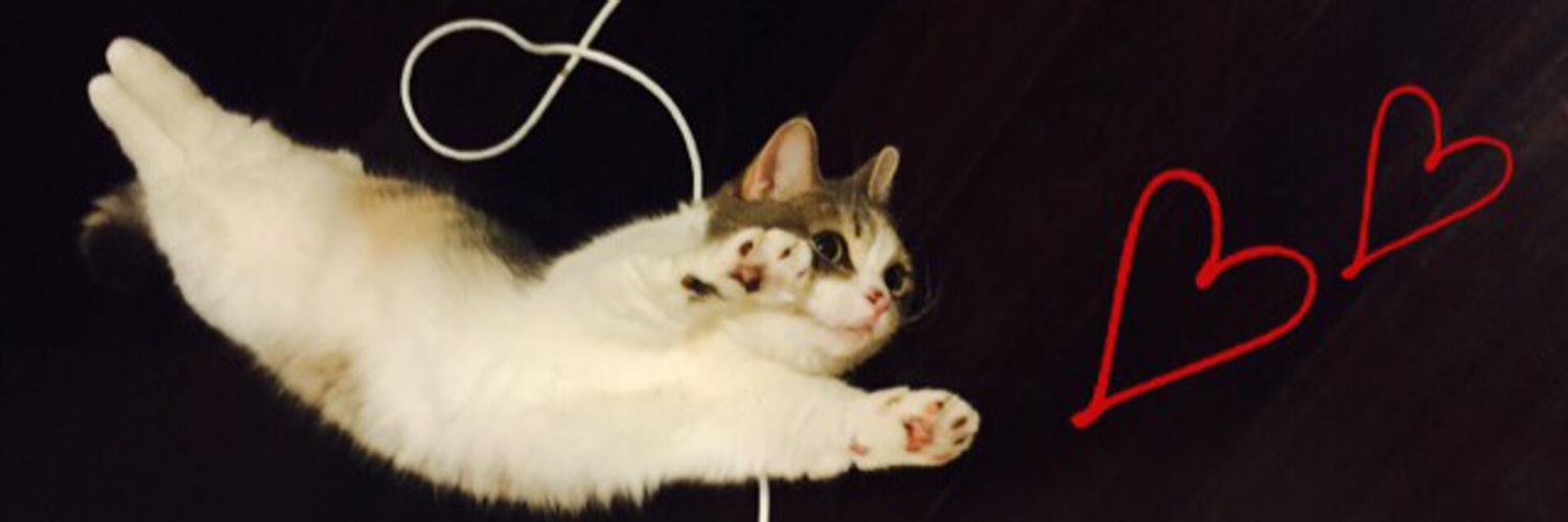 ZacekT's profile banner image