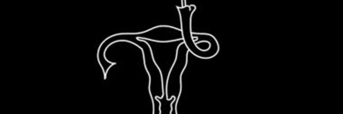 Flumposaurus's profile banner image