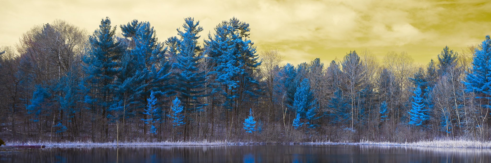 CalvinCollegeHR's profile banner image