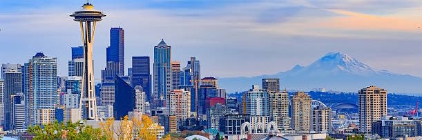 Florian Pesce banner