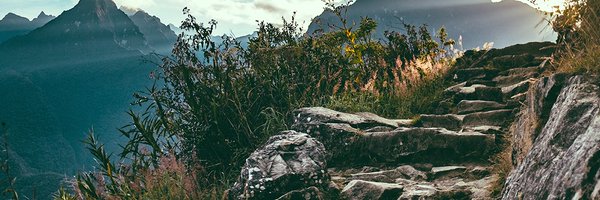 GSAPublications Profile Banner