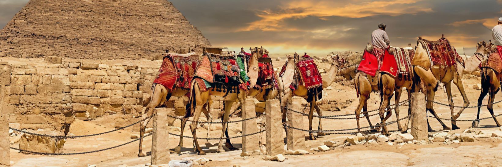 Wander Aesthetic banner