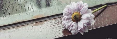 joj209n's profile banner image