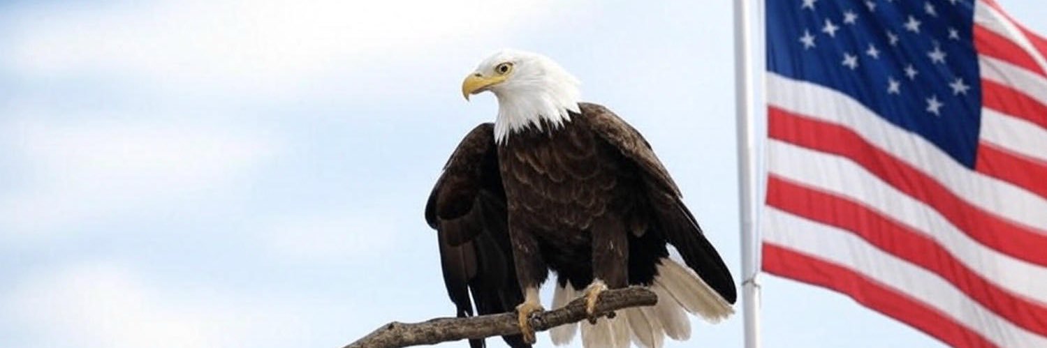JavierSalgado96's profile banner image