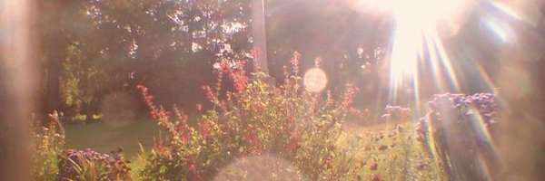 vigalume Profile Banner