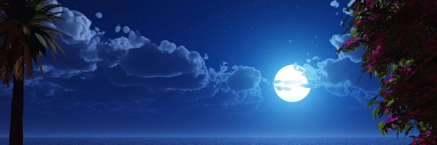 _flawsandall_'s profile banner image