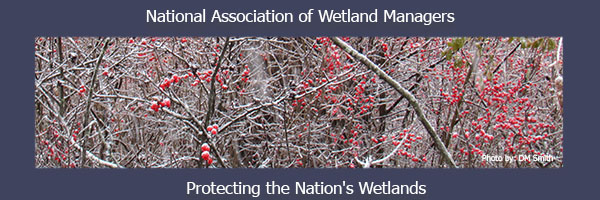 NAWM Communications banner