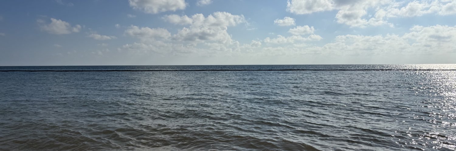 The Bear of Justice banner