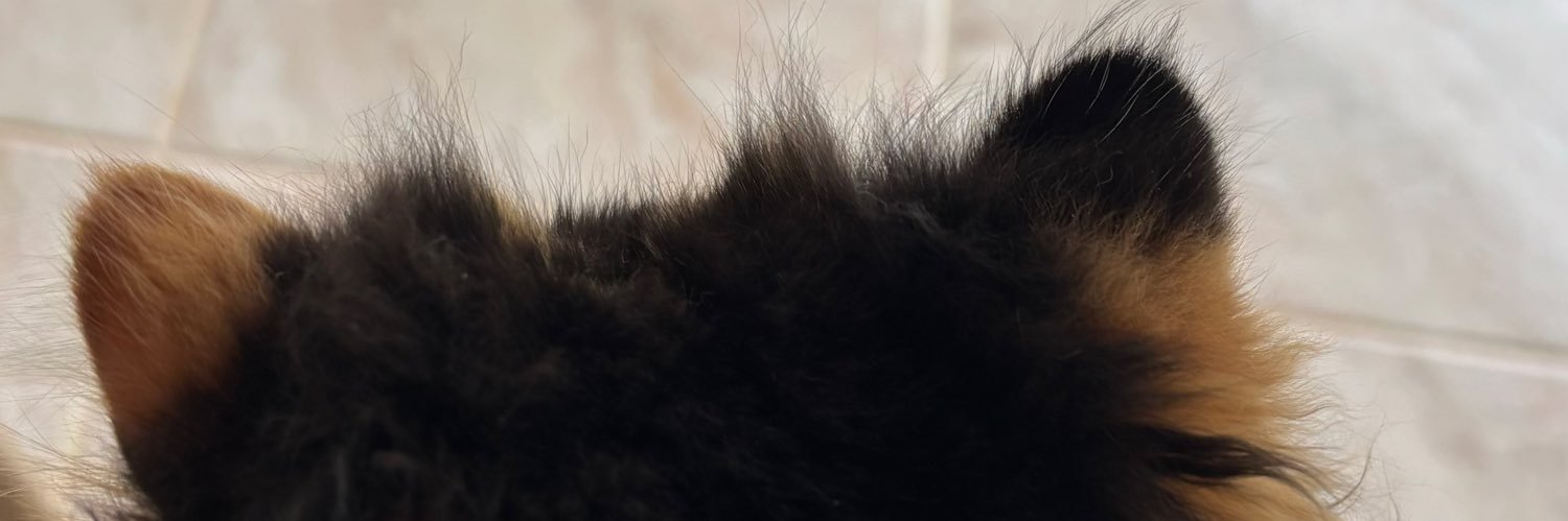somethinglikedy's profile banner image