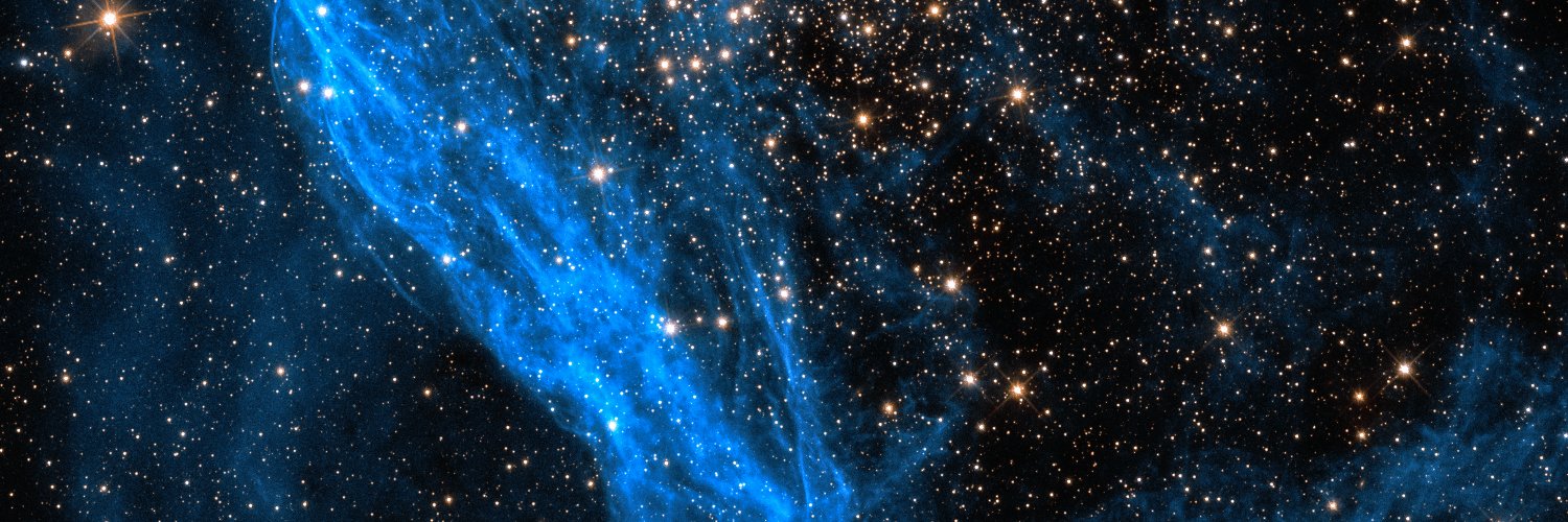 ⚡️Ray⚡️ banner