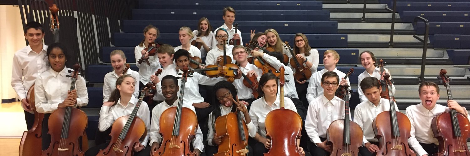 RSMSOrchestra's profile banner image