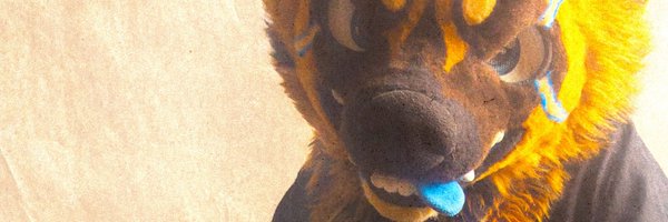 tkogent Profile Banner