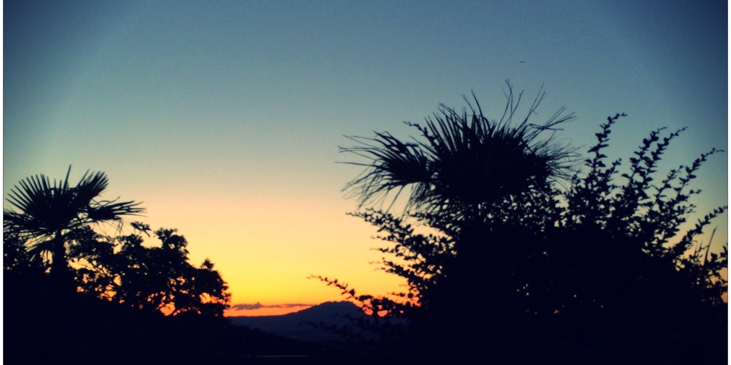 gpujadasalonso's profile banner image