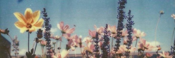 summrr__ Profile Banner