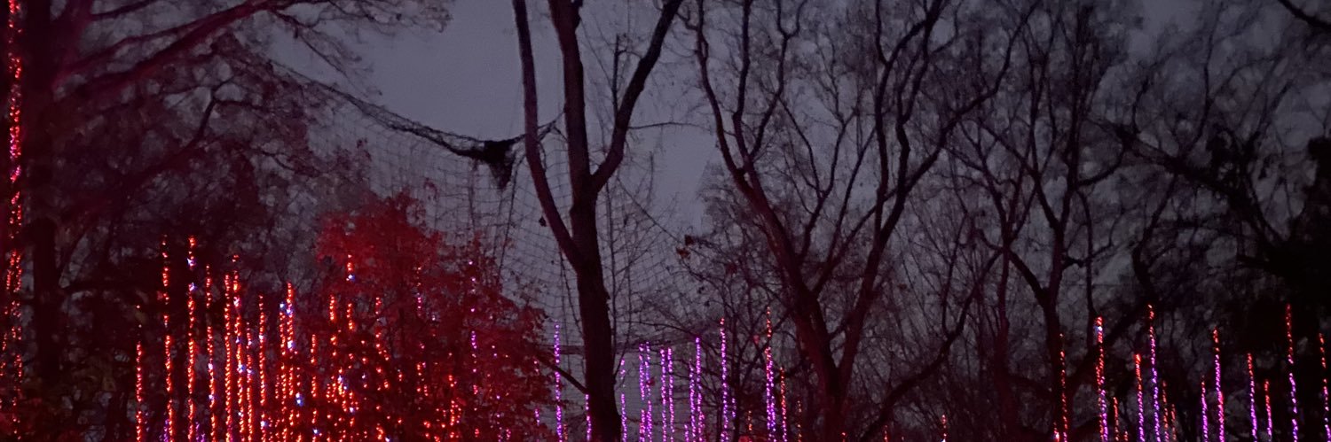 sandeepnatu's profile banner image