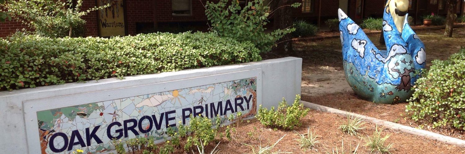OGPrimarySchool's profile banner image