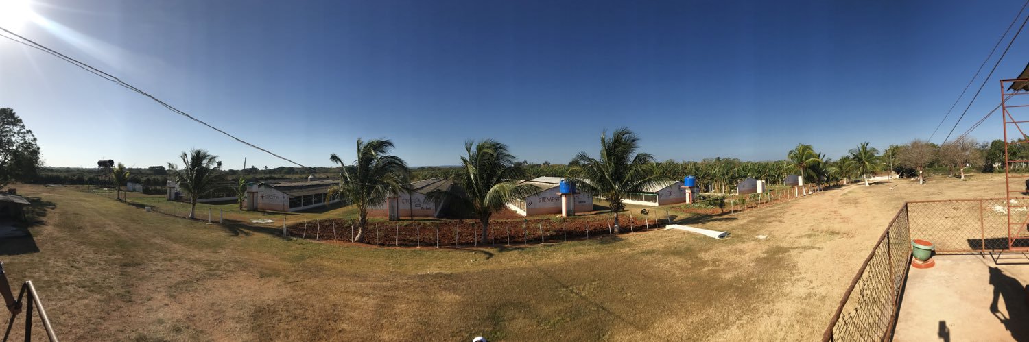 Cubanica's profile banner image