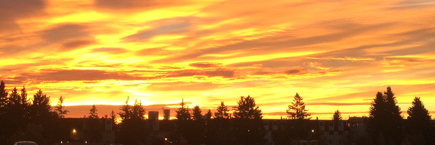DerekBechthold's profile banner image