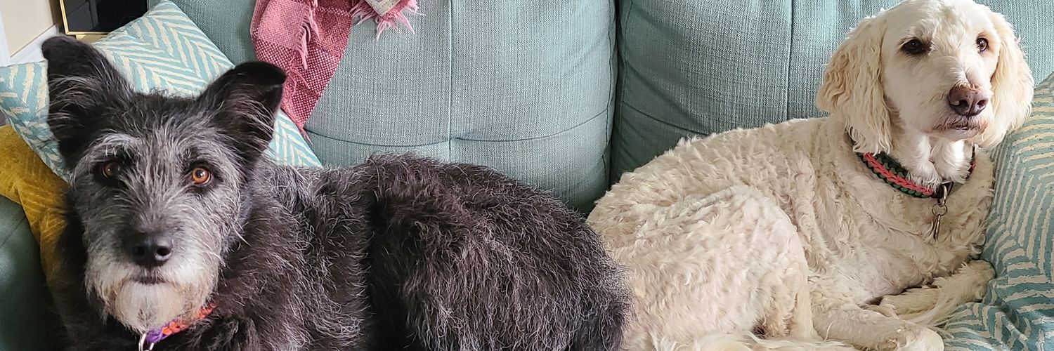 Bex_J's profile banner image