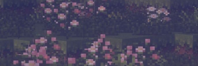 aniikems's profile banner image