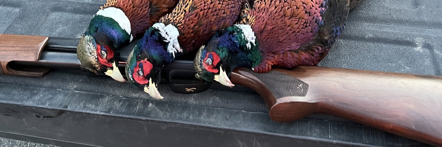 Rgorms's profile banner image