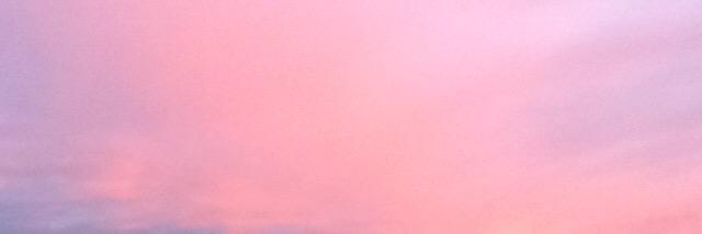 carolinepella's profile banner image