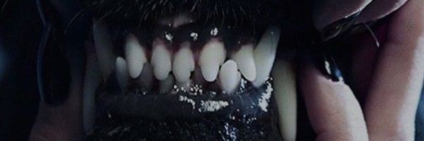 jasonebeyer Profile Banner