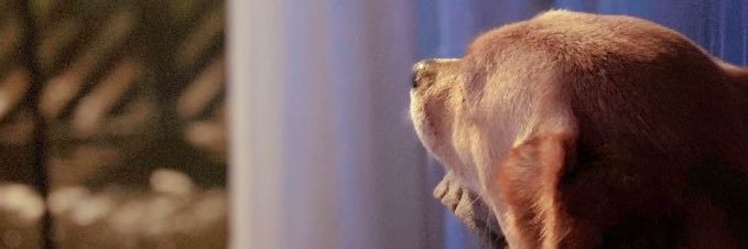 linevaz_'s profile banner image