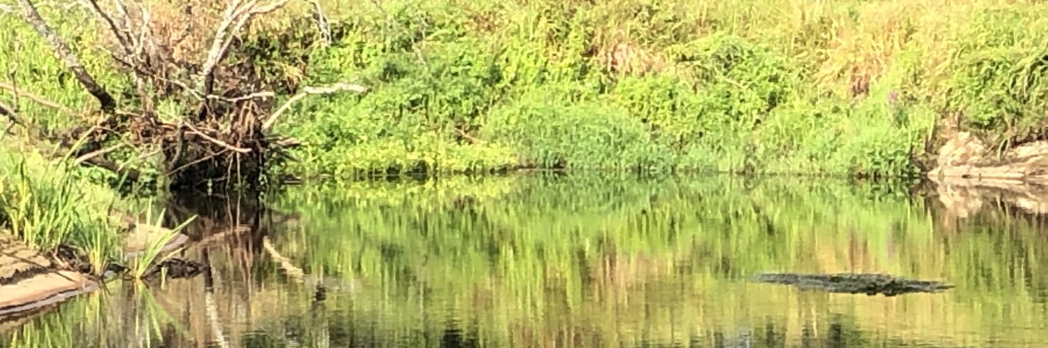 Курвы танчуць баль banner