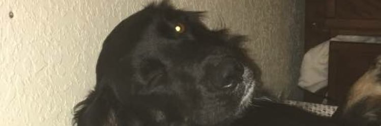 c1elledge's profile banner image