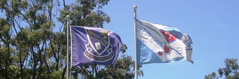 Theodor Herzl School banner