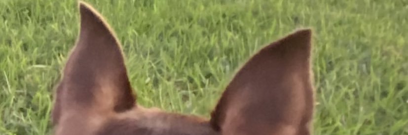 badgalvee's profile banner image