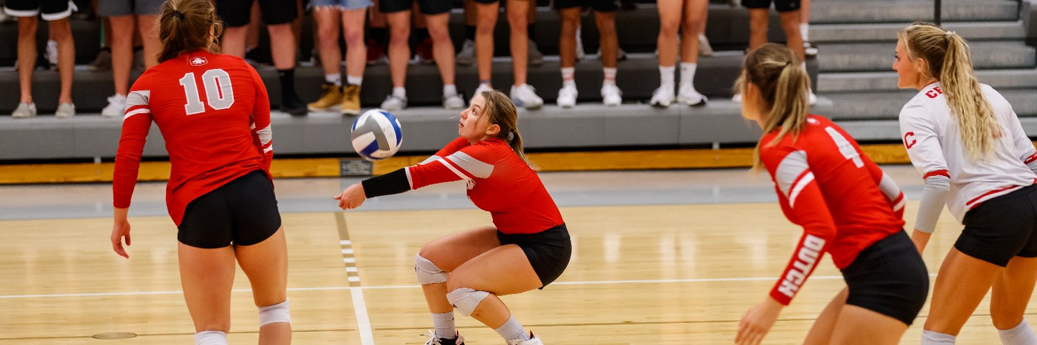 Central Volleyball banner