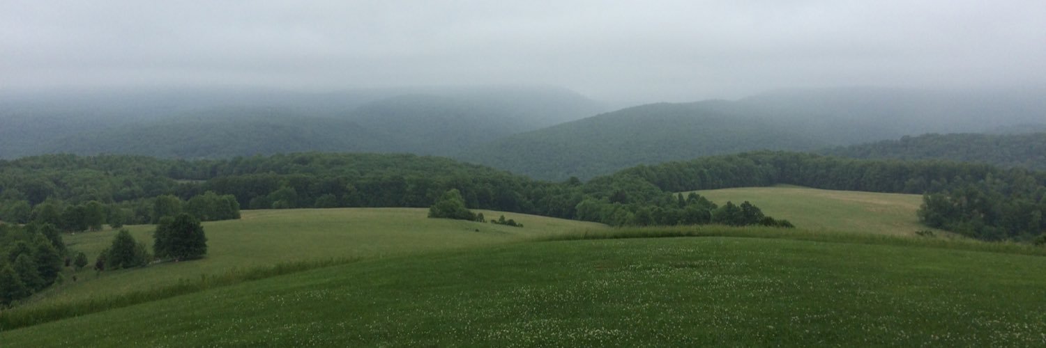 jayrmcniff's profile banner image