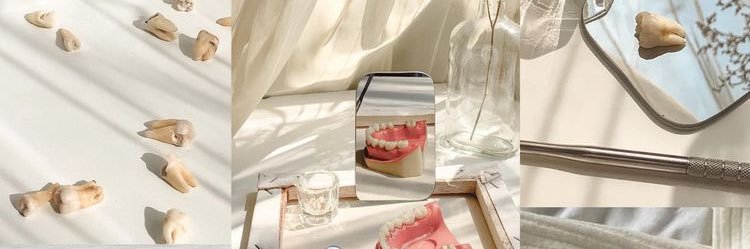 Dental Diaries banner