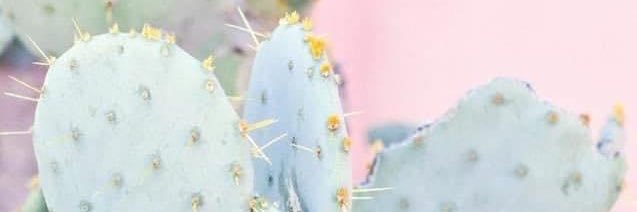 lexicurtis__'s profile banner image