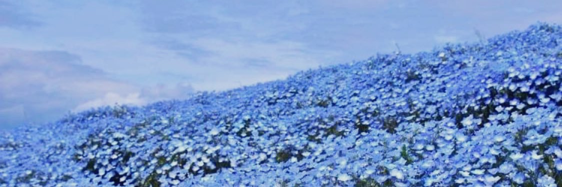 1vk_de's profile banner image